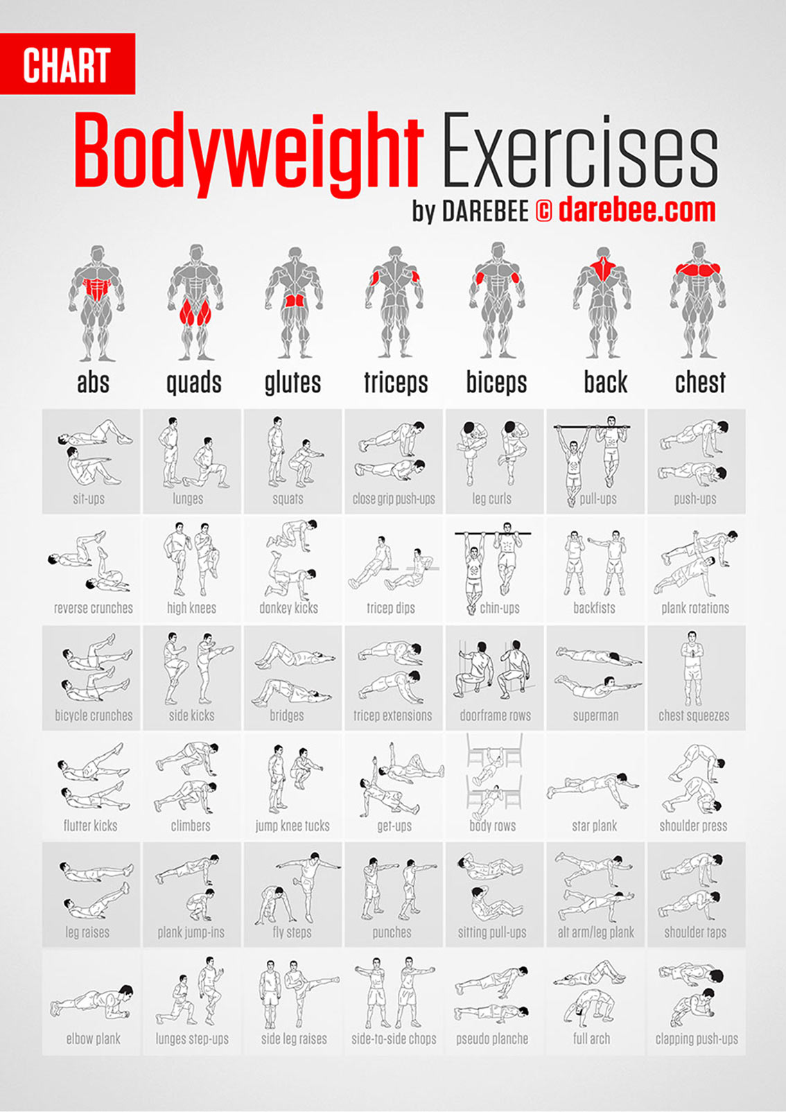 List of compound exercises bodybuilding